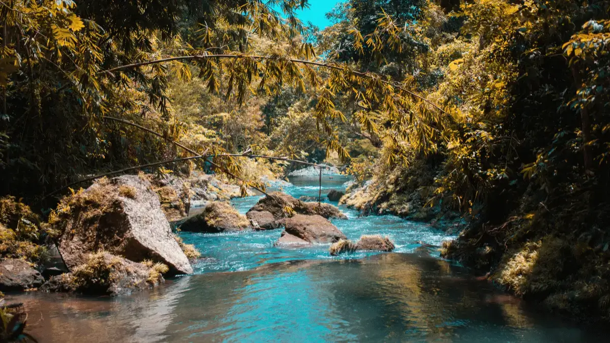 Hubungi PT. Giat Mandiri Sakti